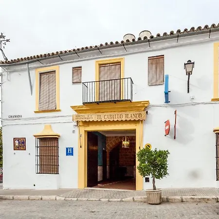 El Caballo Blanco Pensión