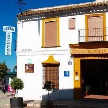 El Caballo Blanco Guest house 2*