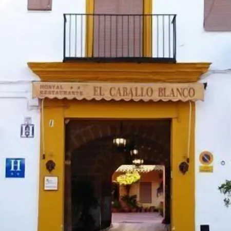 Guest house El Caballo Blanco 2*