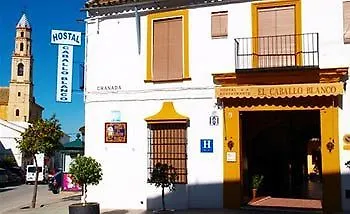 El Caballo Blanco Πανσιόν